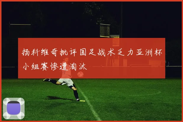 扬科维奇批评国足战术乏力亚洲杯小组赛惨遭淘汰